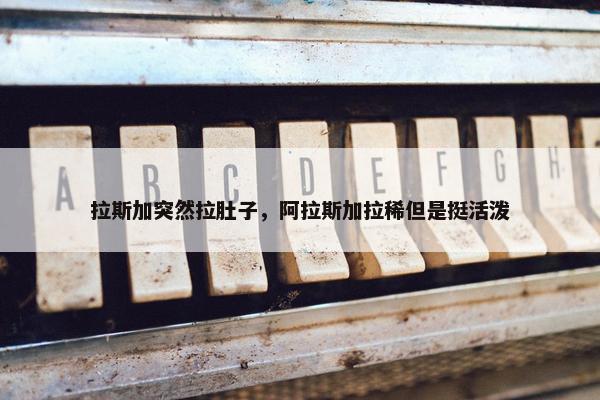 拉斯加突然拉肚子，阿拉斯加拉稀但是挺活泼