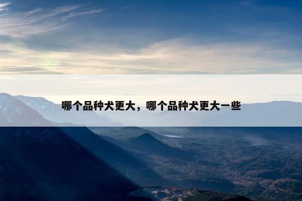 哪个品种犬更大，哪个品种犬更大一些