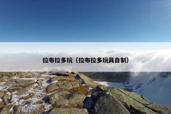 拉布拉多玩（拉布拉多玩具自制）
