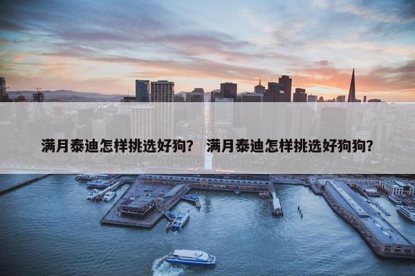 满月泰迪怎样挑选好狗？ 满月泰迪怎样挑选好狗狗？
