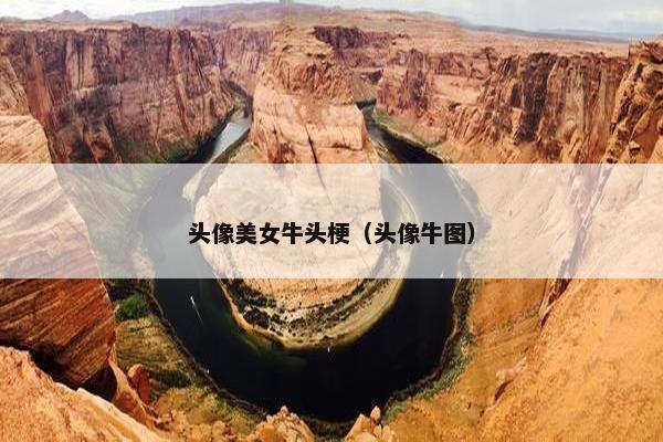 头像美女牛头梗（头像牛图）