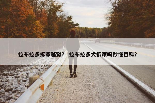 拉布拉多拆家越狱？ 拉布拉多犬拆家吗秒懂百科？