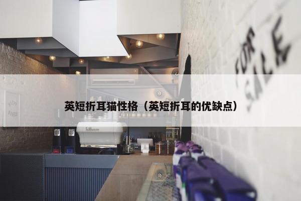 英短折耳猫性格（英短折耳的优缺点）