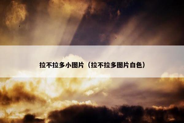 拉不拉多小图片（拉不拉多图片白色）