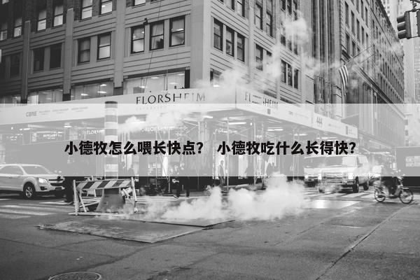 小德牧怎么喂长快点？ 小德牧吃什么长得快？