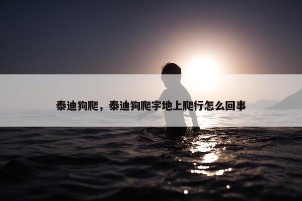 泰迪狗爬，泰迪狗爬字地上爬行怎么回事