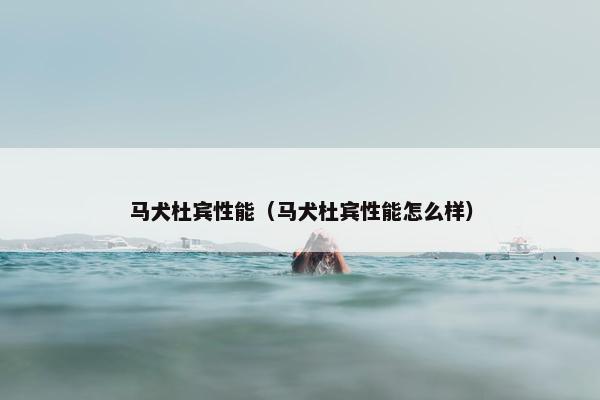 马犬杜宾性能（马犬杜宾性能怎么样）