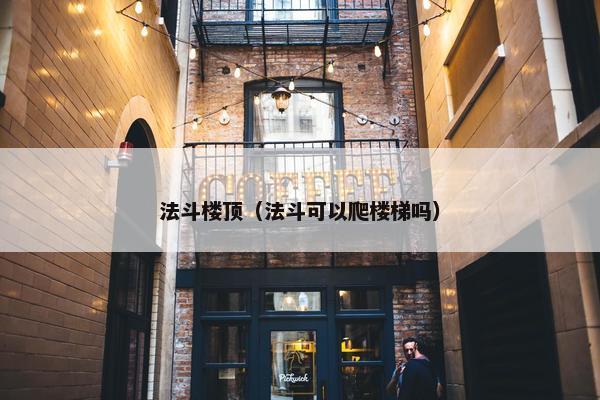 法斗楼顶（法斗可以爬楼梯吗）