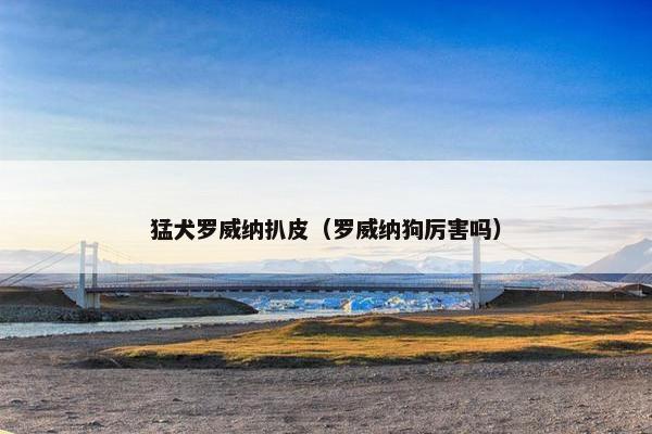 猛犬罗威纳扒皮（罗威纳狗厉害吗）