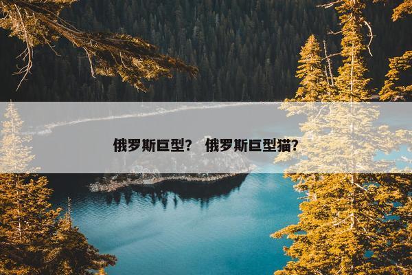 俄罗斯巨型？ 俄罗斯巨型猫？