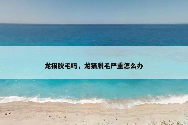 龙猫脱毛吗，龙猫脱毛严重怎么办