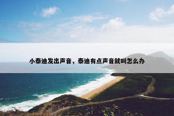 小泰迪发出声音，泰迪有点声音就叫怎么办