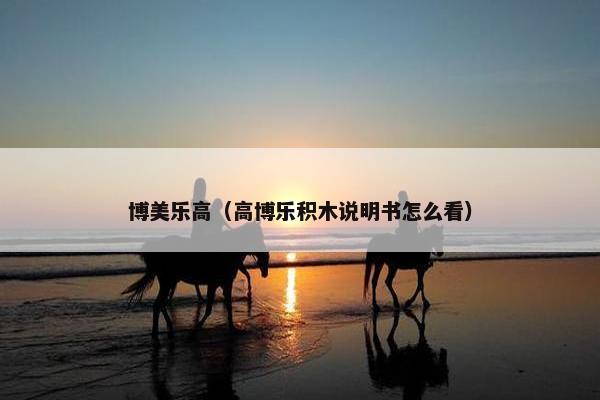 博美乐高（高博乐积木说明书怎么看）