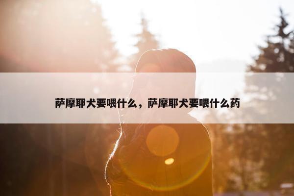 萨摩耶犬要喂什么，萨摩耶犬要喂什么药
