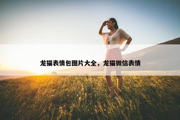 龙猫表情包图片大全，龙猫微信表情
