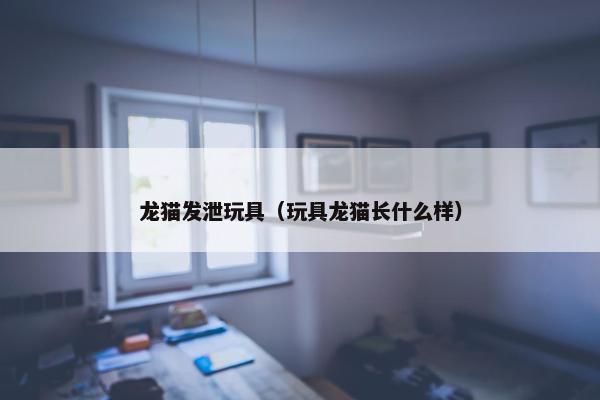 龙猫发泄玩具（玩具龙猫长什么样）