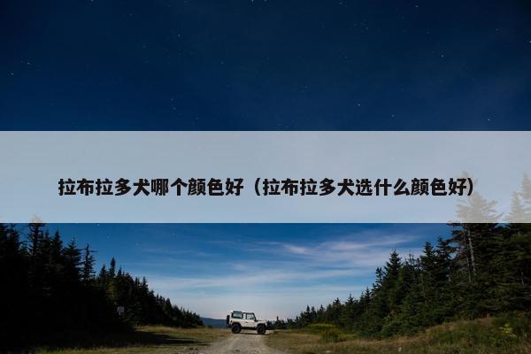 拉布拉多犬哪个颜色好（拉布拉多犬选什么颜色好）