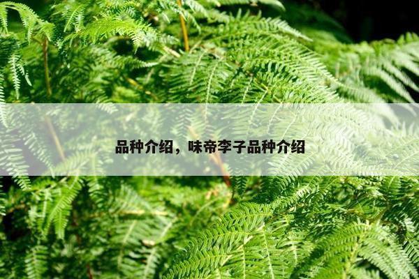 品种介绍，味帝李子品种介绍