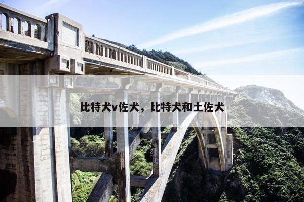 比特犬v佐犬，比特犬和土佐犬
