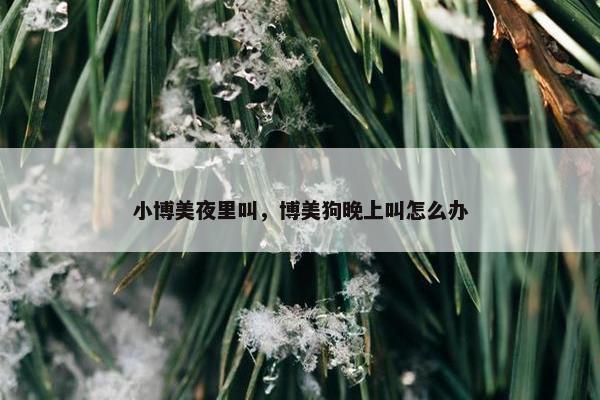 小博美夜里叫，博美狗晚上叫怎么办
