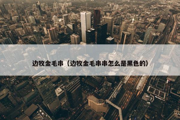 边牧金毛串（边牧金毛串串怎么是黑色的）