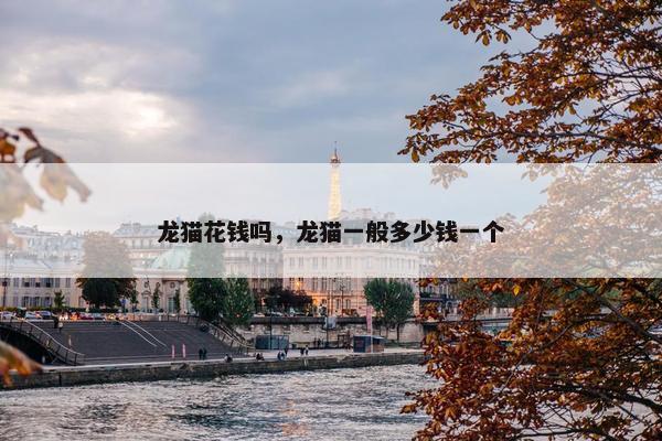龙猫花钱吗，龙猫一般多少钱一个