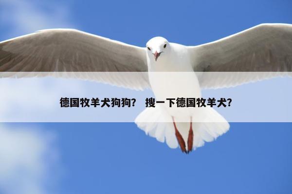 德国牧羊犬狗狗？ 搜一下德国牧羊犬？
