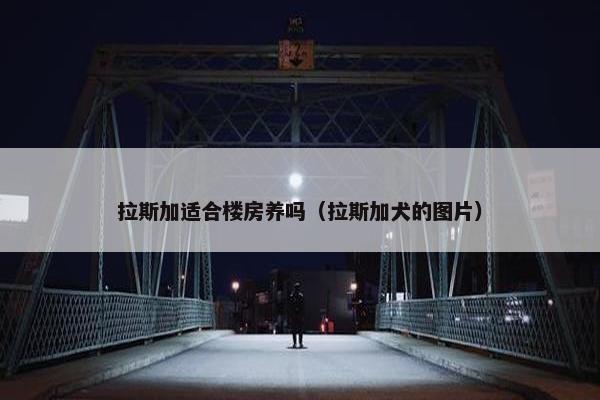 拉斯加适合楼房养吗（拉斯加犬的图片）
