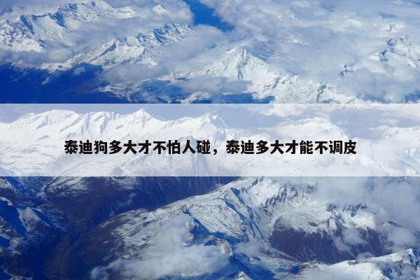 泰迪狗多大才不怕人碰，泰迪多大才能不调皮