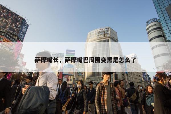 萨摩嘴长，萨摩嘴巴周围变黑是怎么了