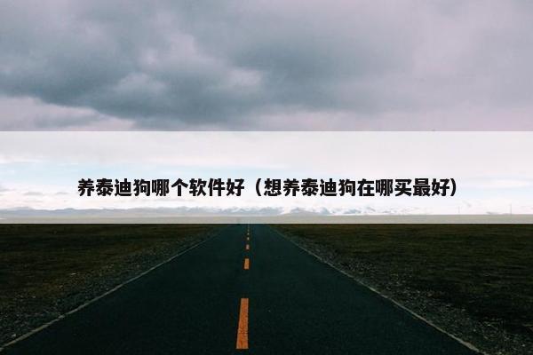 养泰迪狗哪个软件好（想养泰迪狗在哪买最好）