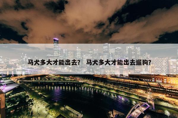 马犬多大才能出去？ 马犬多大才能出去遛狗？