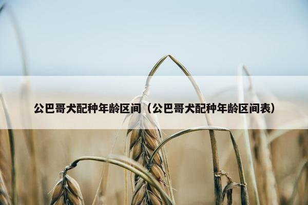 公巴哥犬配种年龄区间（公巴哥犬配种年龄区间表）