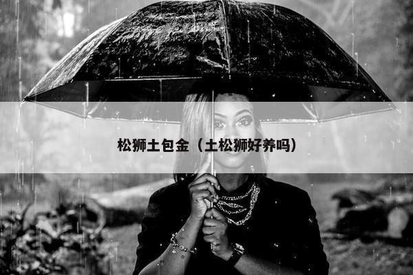 松狮土包金（土松狮好养吗）