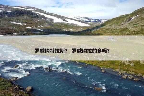罗威纳特拉斯？ 罗威纳拉的多吗？
