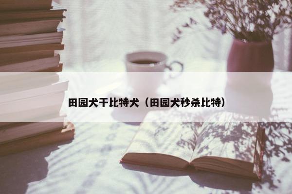 田园犬干比特犬（田园犬秒杀比特）