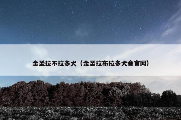 金圣拉不拉多犬（金圣拉布拉多犬舍官网）