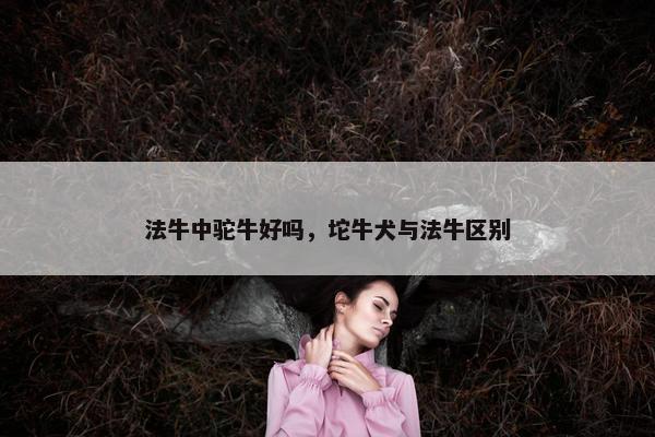 法牛中驼牛好吗，坨牛犬与法牛区别