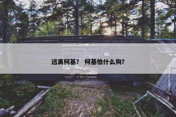 远离柯基？ 柯基怕什么狗？
