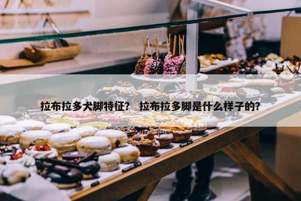 拉布拉多犬脚特征？ 拉布拉多脚是什么样子的？