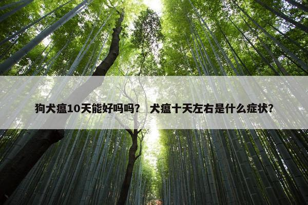 狗犬瘟10天能好吗吗？ 犬瘟十天左右是什么症状？