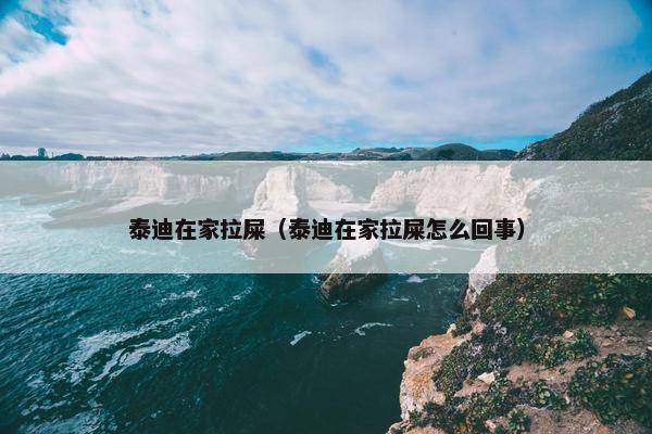 泰迪在家拉屎（泰迪在家拉屎怎么回事）