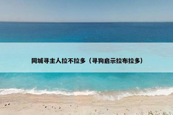 同城寻主人拉不拉多（寻狗启示拉布拉多）