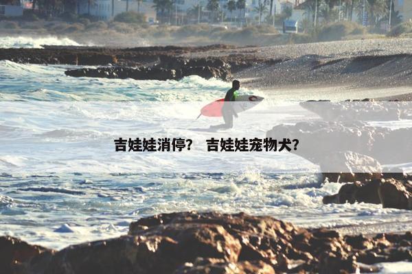 吉娃娃消停？ 吉娃娃宠物犬？