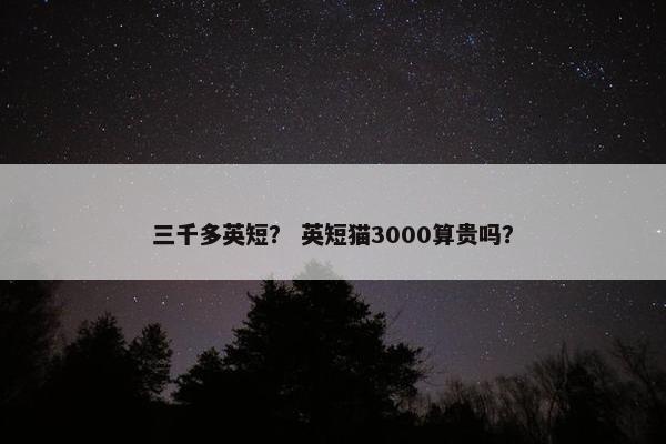 三千多英短？ 英短猫3000算贵吗？