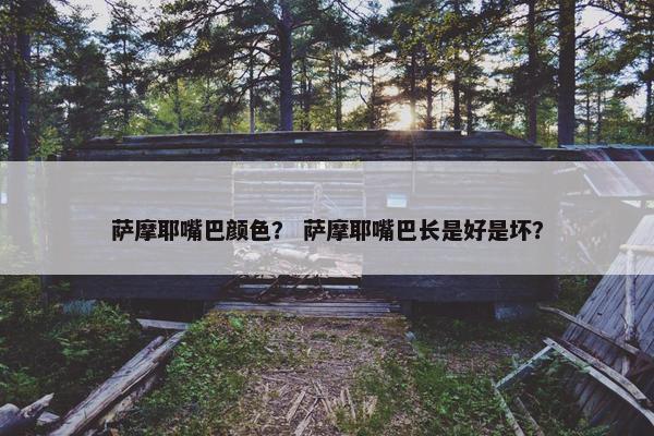 萨摩耶嘴巴颜色？ 萨摩耶嘴巴长是好是坏？