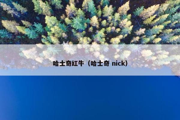哈士奇红牛（哈士奇 nick）