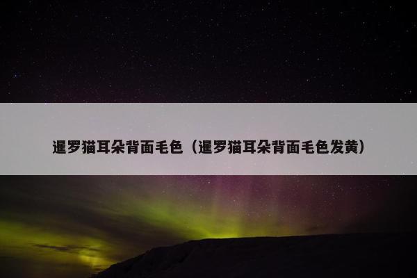 暹罗猫耳朵背面毛色（暹罗猫耳朵背面毛色发黄）