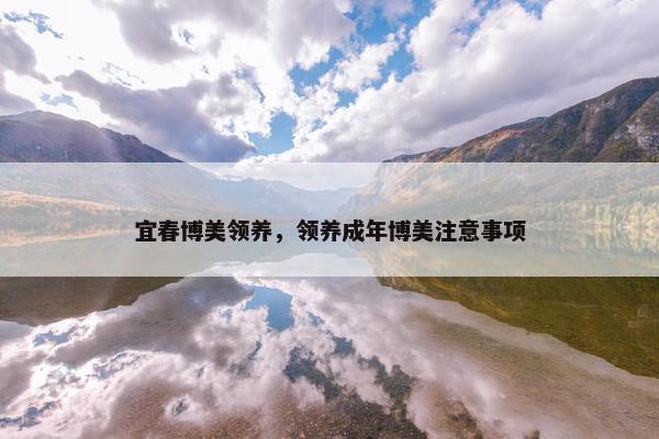 宜春博美领养，领养成年博美注意事项