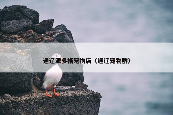 通辽派多格宠物店（通辽宠物群）